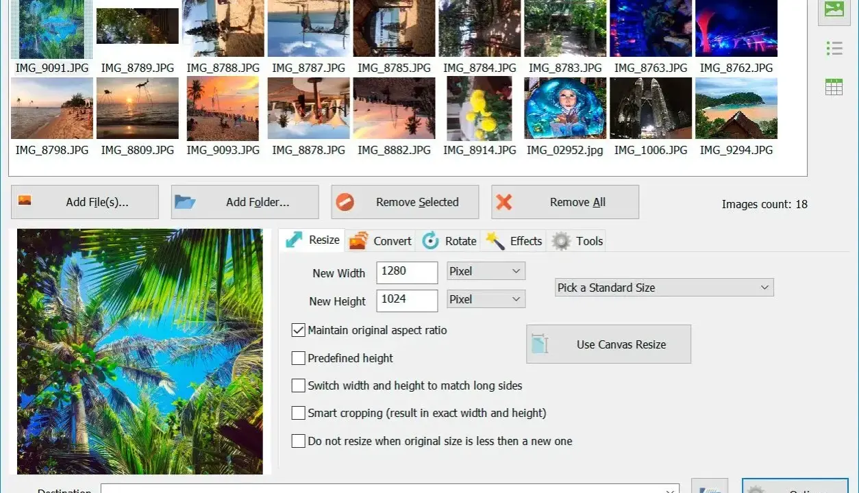 Interfaccia del software Batch Picture Resizer con anteprime di immagini e opzioni di ridimensionamento. Il file dng è pronto per essere elaborato.