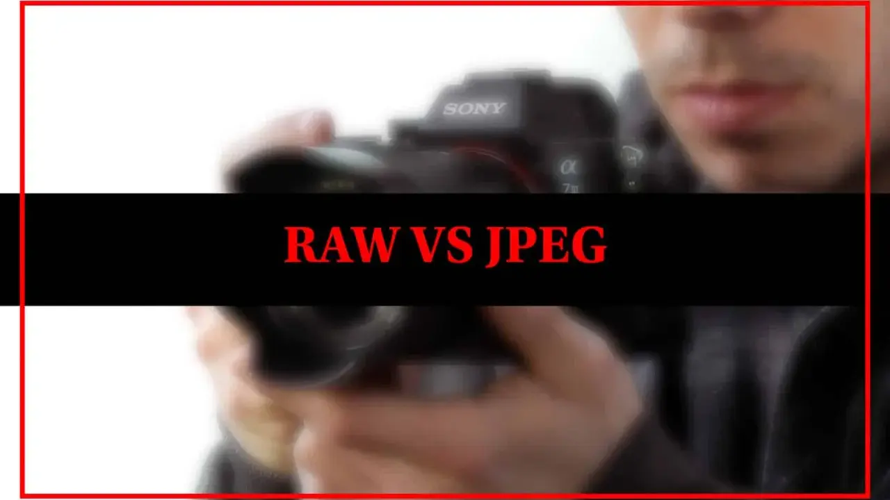 Confronto tra formato digitale foto RAW e JPEG. Una mano tiene una fotocamera Sony.