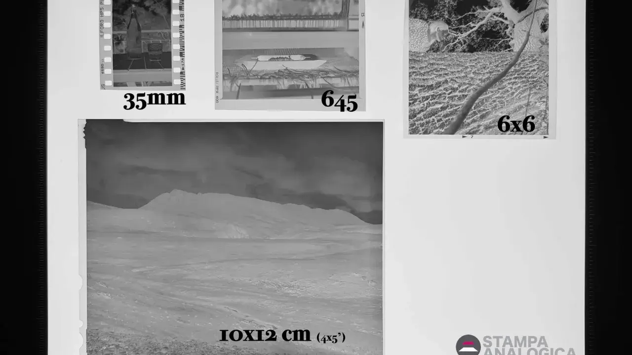 Negativo 35mm, 6x4.5, 6x6 e 10x12 cm (4x5 pollici) su supporto, formato classico foto.