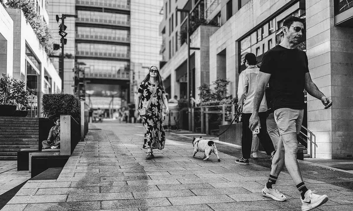 Un uomo cammina con il suo cane, un'istantanea da street photographer in una via moderna.