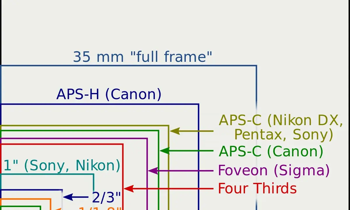 Confronto dimensioni sensori fotografici, dal medio formato al 1/2.5". Capire cosa sono i megapixel aiuta a scegliere il sensore giusto.
