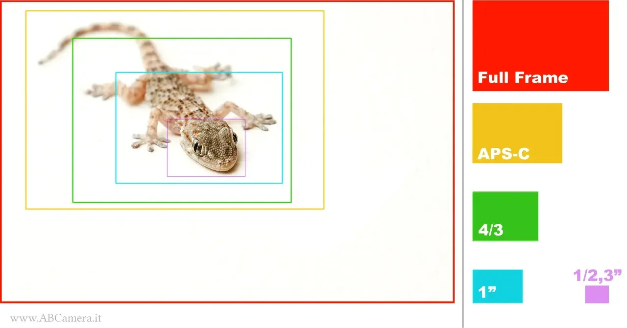 Tabella conversione focali: un geco è ritratto con riquadri concentrici che rappresentano diversi sensori (Full Frame, APS-C, 4/3, 1", 1/2,3").