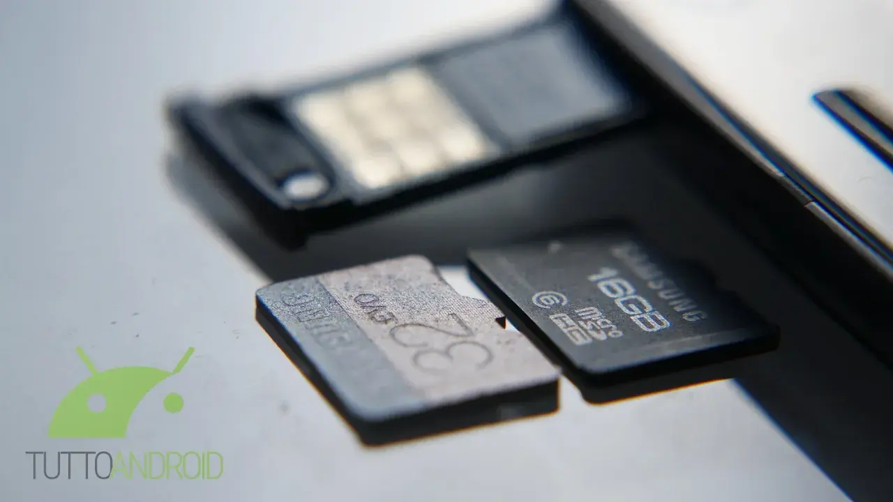 Schede SD Samsung da 32GB e 16GB, per valutare la velocità di trasferimento dati.