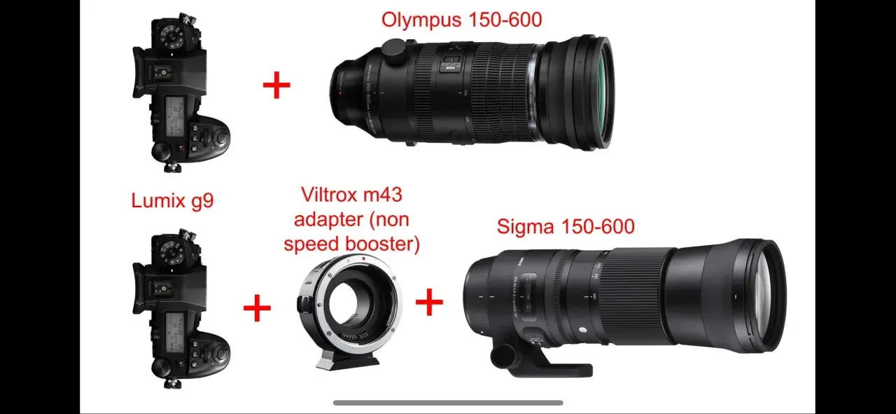 Olympus 150-600 e Lumix G9 in alto. Sotto, Lumix G9 con adattatore Viltrox e il **sigma 150-600**.