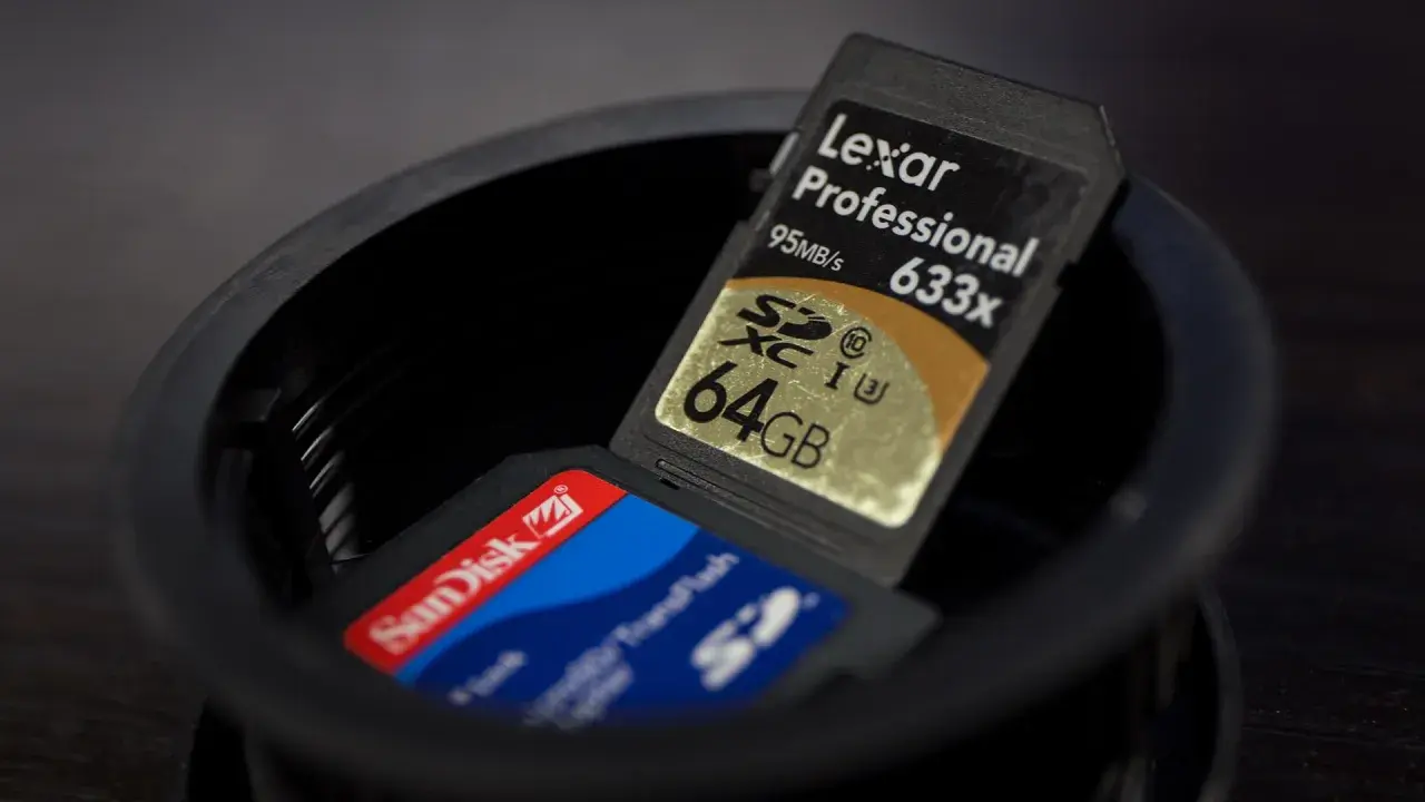 Due schede SD, una Lexar Professional 64GB e una SanDisk, in un contenitore. Cos'è una sd card? Un piccolo supporto di memoria.