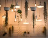 Lampade a sospensione e piante aeree creano un'atmosfera magica, perfetta per fotografare il cibo in un locale accogliente.
