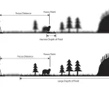 Illustrazione che mostra come la lunghezza focale influenzi la profondità di campo: una stretta (sopra) e una ampia (sotto).