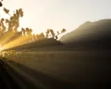 Raggi di luce dorata filtrano tra i rami di un pino, illuminando un paesaggio montano nebbioso. La luce in fotografia crea un'atmosfera magica.