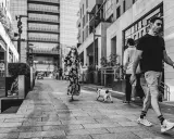 Un uomo cammina con il suo cane, un'istantanea da street photographer in una via moderna.
