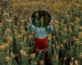 Una persona in un campo di fiori gialli tiene uno specchio rotondo davanti al viso, creando una **fotografia surrealista** dove il riflesso mostra solo la vegetazione circostante.