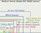 Confronto dimensioni sensori fotografici, dal medio formato al 1/2.5". Capire cosa sono i megapixel aiuta a scegliere il sensore giusto.