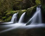 Cascata in una foresta lussureggiante. L'acqua scorre su rocce ricoperte di muschio, creando un effetto setoso. Questo significa pace.