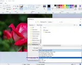 Salvataggio immagine in Paint: la finestra "Salva con nome" mostra le opzioni per la differenza tra JPEG e JPG, evidenziando il formato JPEG.