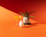 Uovo, bicchiere con tuorlo e pianta in vaso su sfondo arancione. Una still life fotografia con ombre nette.