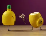 Un limone con un fiore in mano offre un dono a un altro limone. Un esempio di still life che gioca con forme e colori.