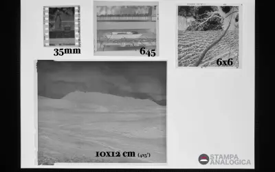 Negativo 35mm, 6x4.5, 6x6 e 10x12 cm (4x5 pollici) su supporto, formato classico foto.