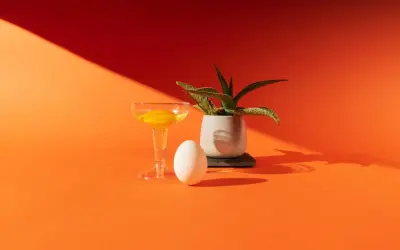Uovo, bicchiere con tuorlo e pianta in vaso su sfondo arancione. Una still life fotografia con ombre nette.