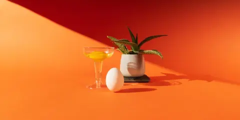 Uovo, bicchiere con tuorlo e pianta in vaso su sfondo arancione. Una still life fotografia con ombre nette.