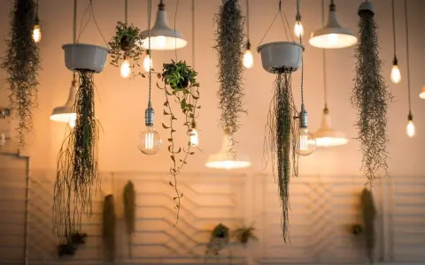 Lampade a sospensione e piante aeree creano un'atmosfera magica, perfetta per fotografare il cibo in un locale accogliente.