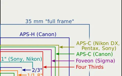 Confronto dimensioni sensori fotografici, dal medio formato al 1/2.5". Capire cosa sono i megapixel aiuta a scegliere il sensore giusto.