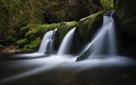 Cascata in una foresta lussureggiante. L'acqua scorre su rocce ricoperte di muschio, creando un effetto setoso. Questo significa pace.