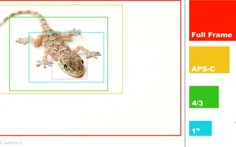 Tabella conversione focali: un geco è ritratto con riquadri concentrici che rappresentano diversi sensori (Full Frame, APS-C, 4/3, 1", 1/2,3").