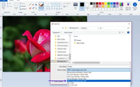 Salvataggio immagine in Paint: la finestra "Salva con nome" mostra le opzioni per la differenza tra JPEG e JPG, evidenziando il formato JPEG.