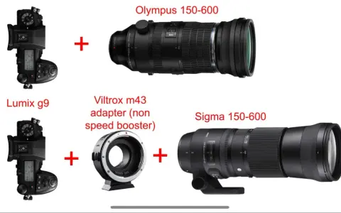 Olympus 150-600 e Lumix G9 in alto. Sotto, Lumix G9 con adattatore Viltrox e il **sigma 150-600**.