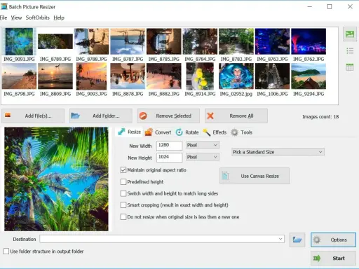 Interfaccia del software Batch Picture Resizer con anteprime di immagini e opzioni di ridimensionamento. Il file dng è pronto per essere elaborato.