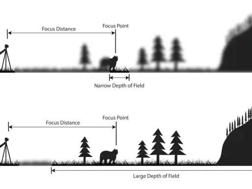 Illustrazione che mostra come la lunghezza focale influenzi la profondità di campo: una stretta (sopra) e una ampia (sotto).