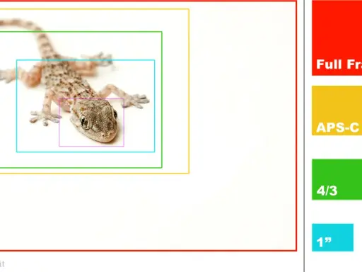 Tabella conversione focali: un geco è ritratto con riquadri concentrici che rappresentano diversi sensori (Full Frame, APS-C, 4/3, 1", 1/2,3").
