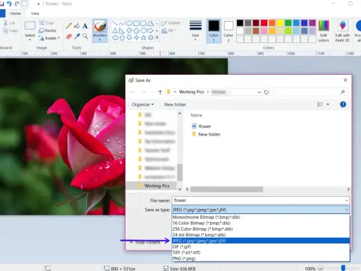 Salvataggio immagine in Paint: la finestra "Salva con nome" mostra le opzioni per la differenza tra JPEG e JPG, evidenziando il formato JPEG.