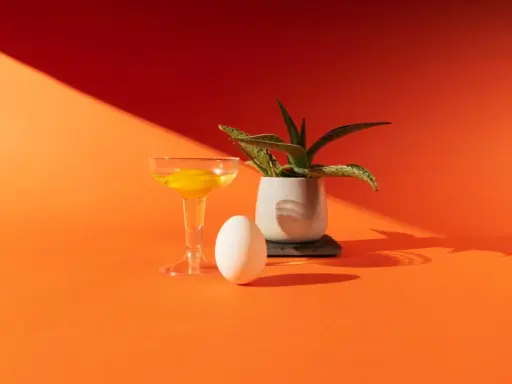 Uovo, bicchiere con tuorlo e pianta in vaso su sfondo arancione. Una still life fotografia con ombre nette.