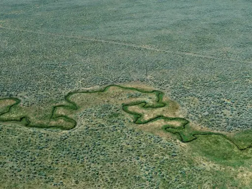 Un fiume serpeggia in un paesaggio arido, un'immagine che evoca la sensibilità di Stephen Shore per la bellezza ordinaria.
