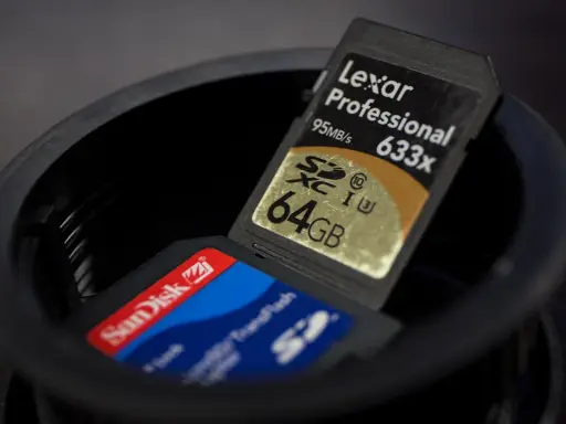 Due schede SD, una Lexar Professional 64GB e una SanDisk, in un contenitore. Cos'è una sd card? Un piccolo supporto di memoria.