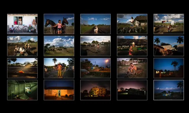 Un reportage che cattura la vita rurale: famiglie, cavalli, bestiame e scene di vita quotidiana sotto il sole e al crepuscolo.
