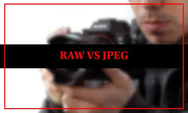 Confronto tra formato digitale foto RAW e JPEG. Una mano tiene una fotocamera Sony.