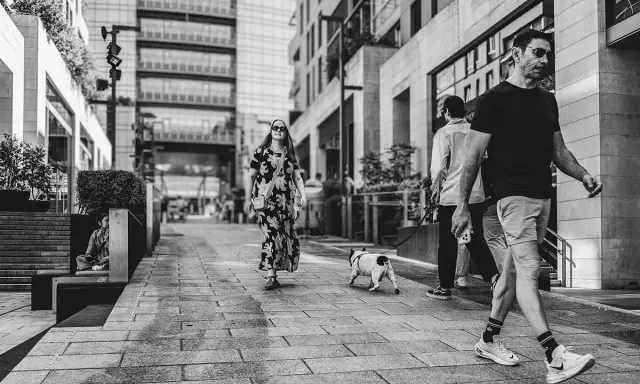 Un uomo cammina con il suo cane, un'istantanea da street photographer in una via moderna.