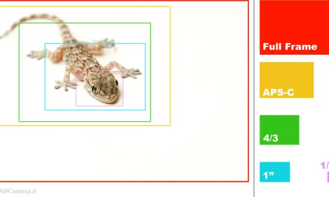 Tabella conversione focali: un geco è ritratto con riquadri concentrici che rappresentano diversi sensori (Full Frame, APS-C, 4/3, 1", 1/2,3").