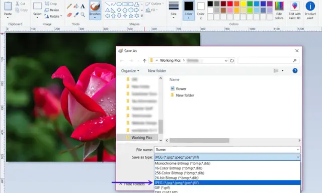 Salvataggio immagine in Paint: la finestra "Salva con nome" mostra le opzioni per la differenza tra JPEG e JPG, evidenziando il formato JPEG.