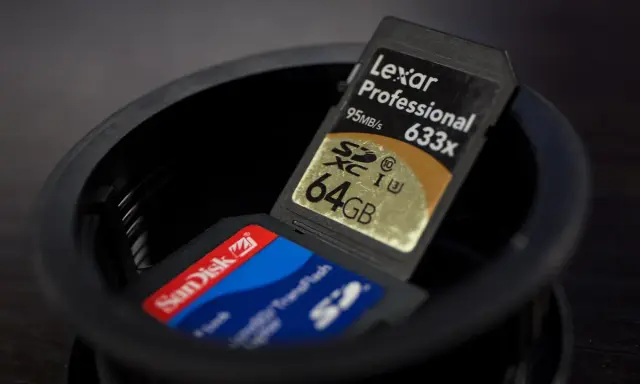 Due schede SD, una Lexar Professional 64GB e una SanDisk, in un contenitore. Cos'è una sd card? Un piccolo supporto di memoria.