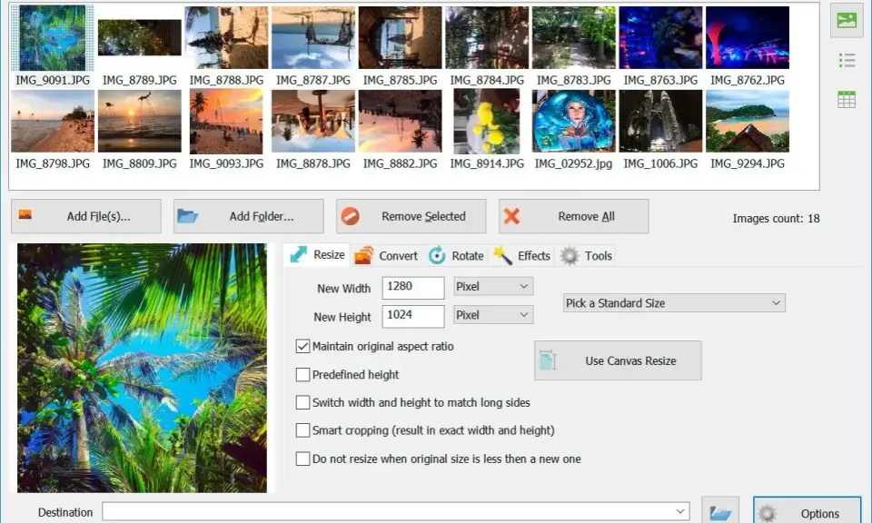 Interfaccia del software Batch Picture Resizer con anteprime di immagini e opzioni di ridimensionamento. Il file dng è pronto per essere elaborato.