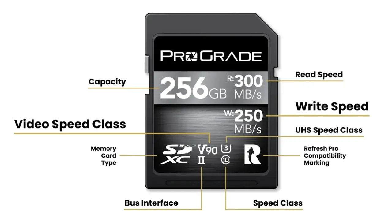 Scheda SD ProGrade 256GB con velocità di lettura 300 MB/s e scrittura 250 MB/s, ideale per video ad alta velocità.
