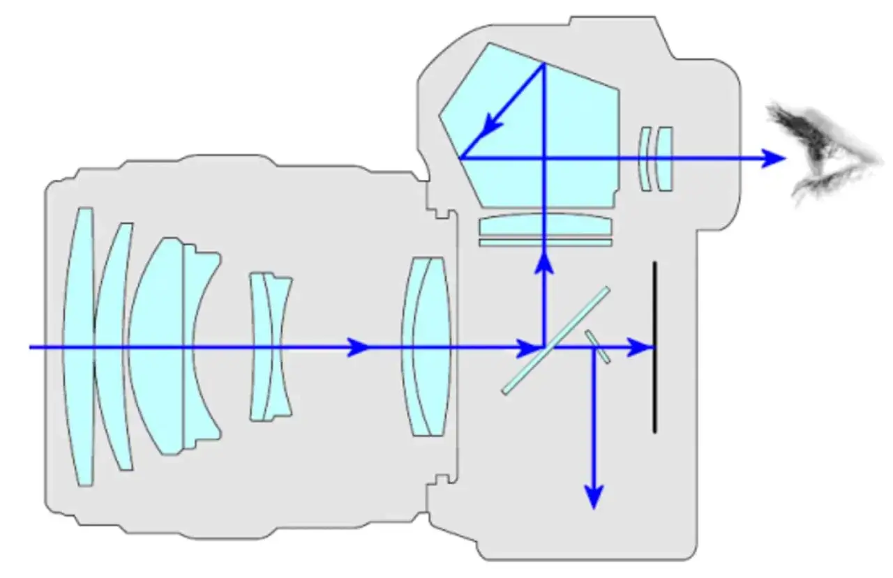 Schema interno di una reflex, spiegando il dslr significato: luce riflessa da uno specchio al pentaprisma, poi all'oculare.