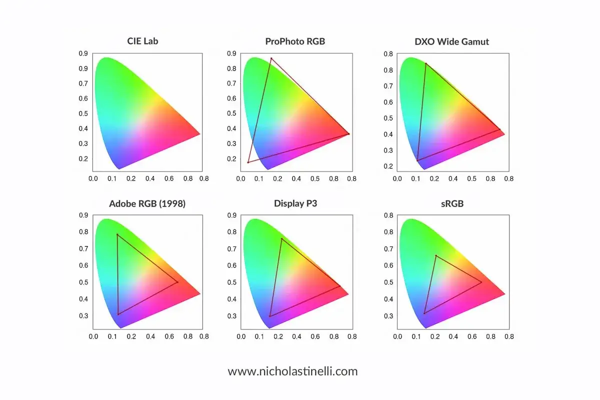 Grafici comparativi di spazi colore (CIE Lab, ProPhoto RGB, DXO Wide Gamut, Adobe RGB, Display P3, sRGB). Una foto raw che mostra la gamma cromatica.