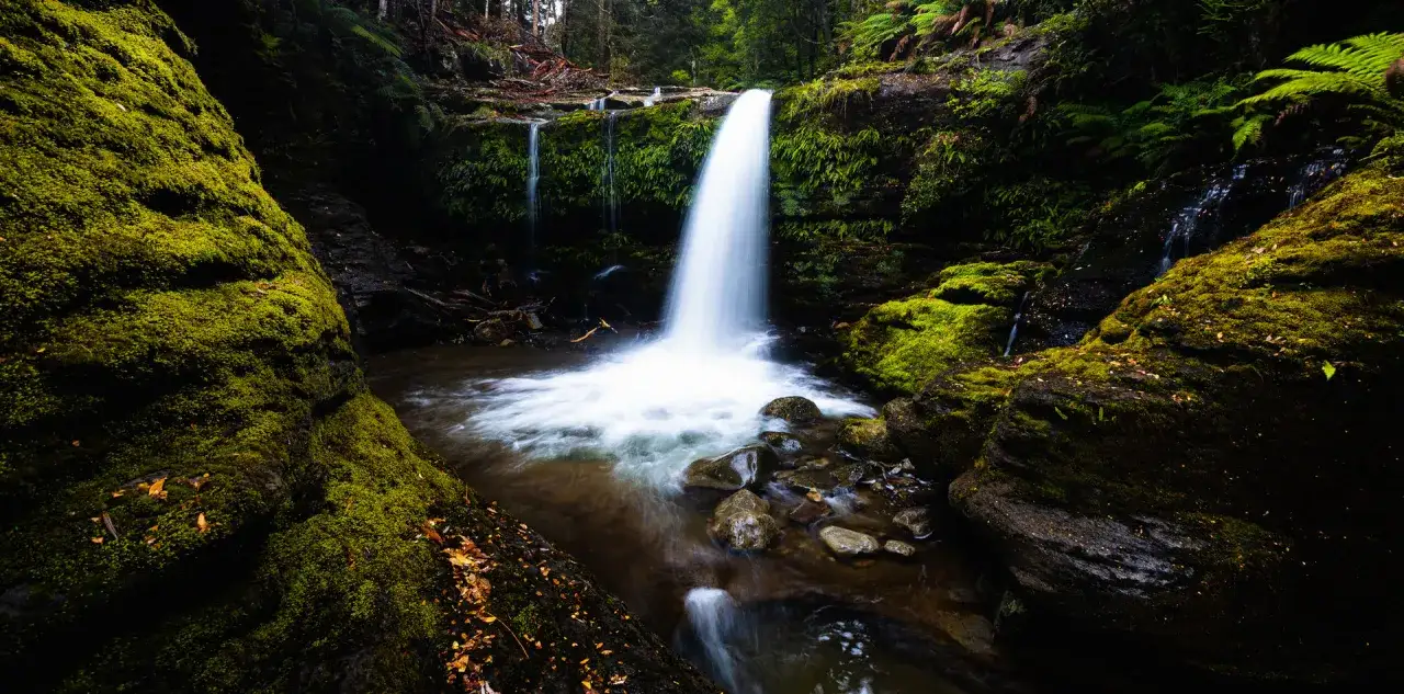 Cascata in una foresta lussureggiante, rocce ricoperte di muschio verde brillante. L'acqua scorre creando un effetto setoso, un vero spettacolo della natura.