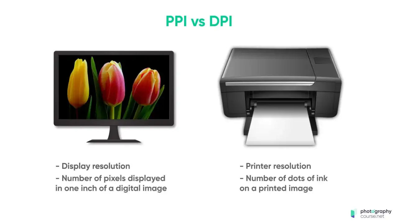 Monitor con tulipani e stampante, che illustrano la differenza tra PPI (pixel per pollice) e DPI (punti per pollice) per la risoluzione.