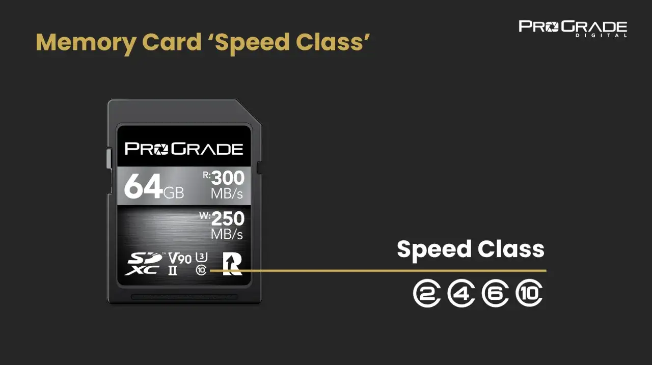 Scheda SD: cos'&egrave;? Una ProGrade Digital da 64GB con velocit&agrave; di lettura/scrittura 300/250 MB/s, V90, U3, Classe 10.