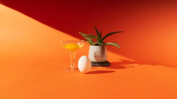 Uovo, bicchiere con tuorlo e pianta in vaso su sfondo arancione. Una still life fotografia con ombre nette.